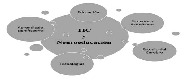 TIC y neuroeducación como recurso de innovación en el proceso de